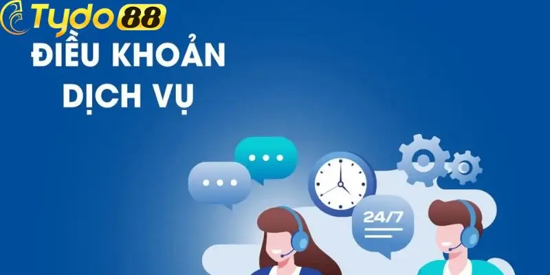 Chi tiết về điều khoản dịch vụ tydo88