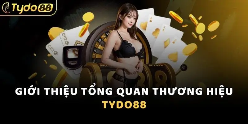 Tổng quan về nhà cái tydo88